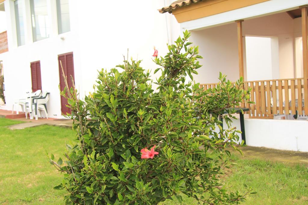 Santana Houses Rabo de Peixe Bilik gambar